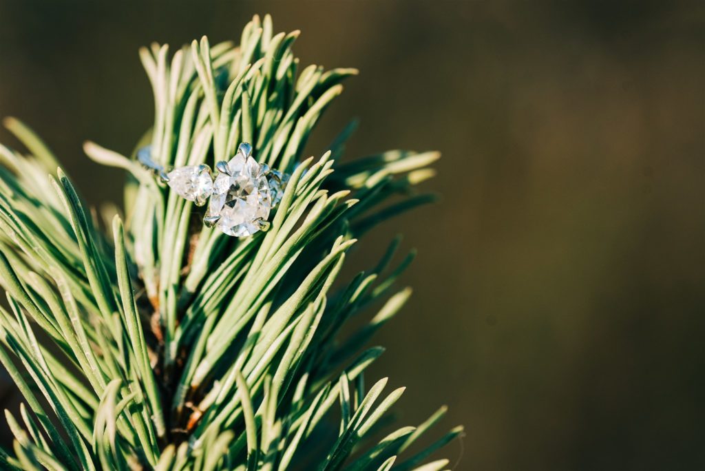 how to prepare for your engagement session