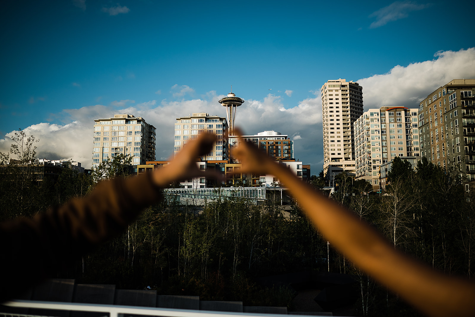 Engagement Seattle, Olympic Sculpture Park Engagement Photos, Seattle Art Museum Engagement Photos, Captured by Candace Photography